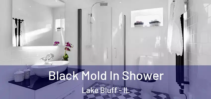  Black Mold In Shower Lake Bluff - IL