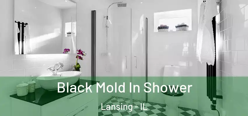  Black Mold In Shower Lansing - IL
