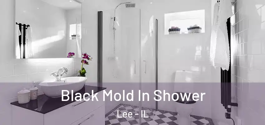  Black Mold In Shower Lee - IL