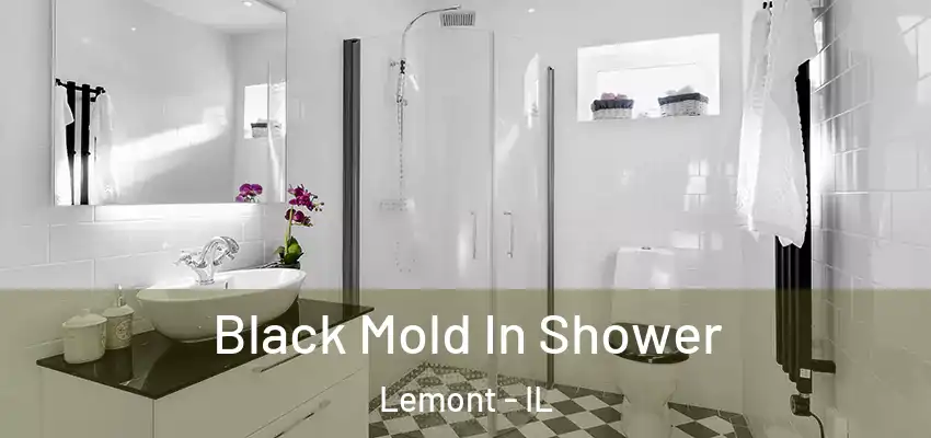Black Mold In Shower Lemont - IL