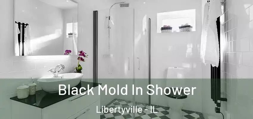 Black Mold In Shower Libertyville - IL