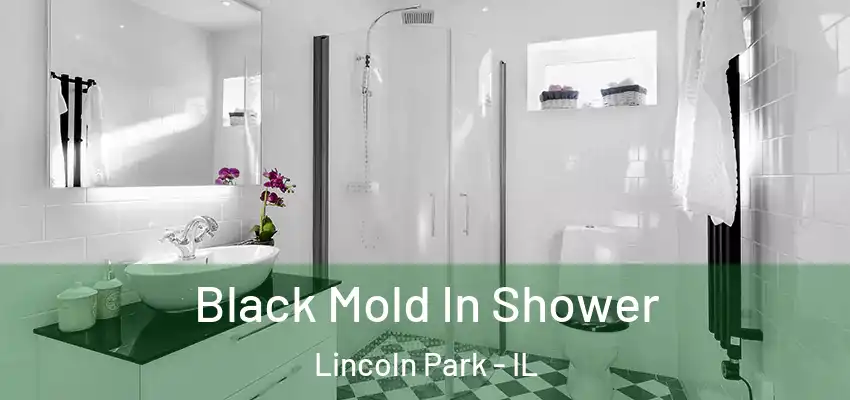 Black Mold In Shower Lincoln Park - IL
