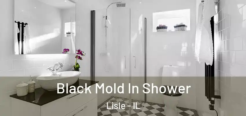 Black Mold In Shower Lisle - IL