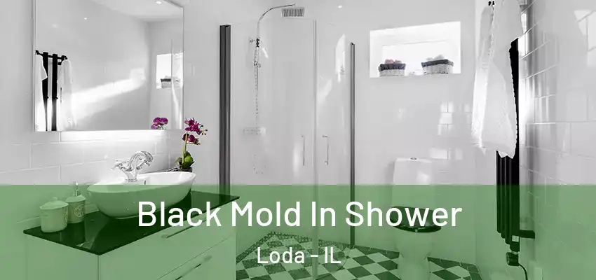 Black Mold In Shower Loda - IL