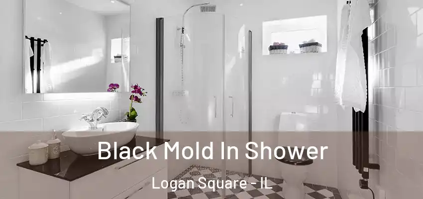 Black Mold In Shower Logan Square - IL