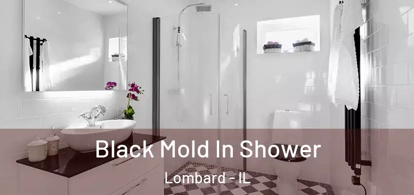 Black Mold In Shower Lombard - IL