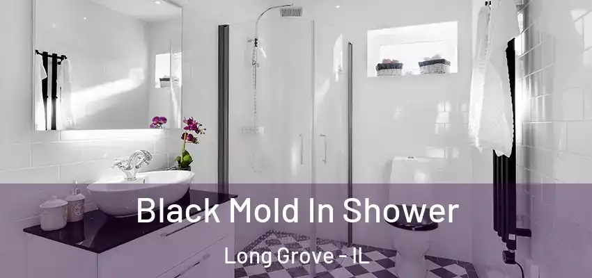 Black Mold In Shower Long Grove - IL