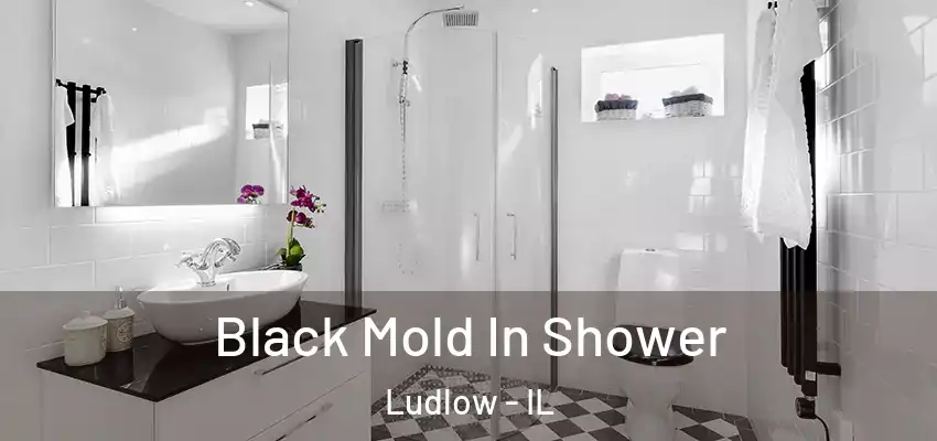  Black Mold In Shower Ludlow - IL