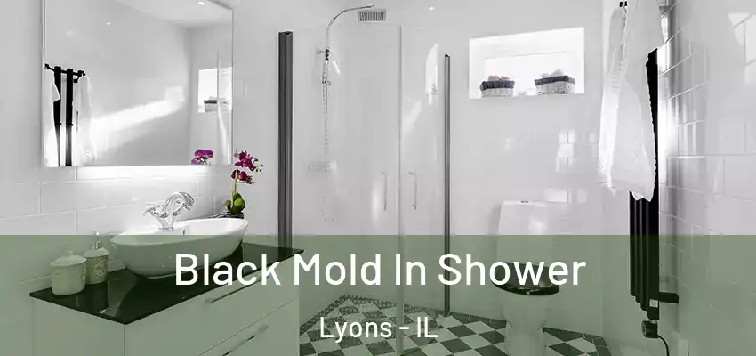  Black Mold In Shower Lyons - IL