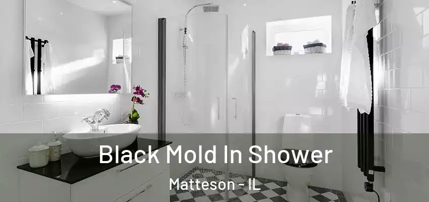  Black Mold In Shower Matteson - IL