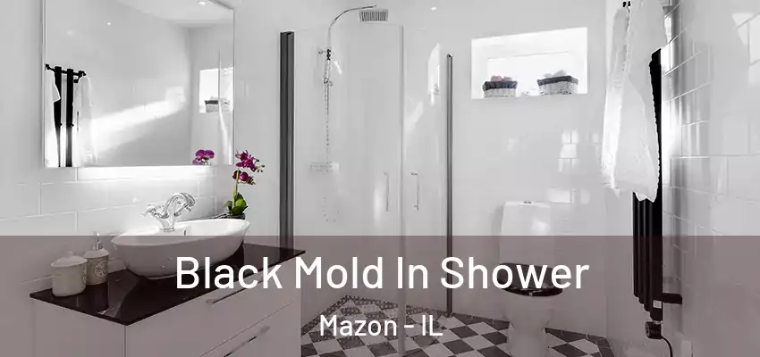  Black Mold In Shower Mazon - IL