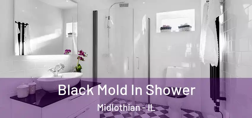 Black Mold In Shower Midlothian - IL