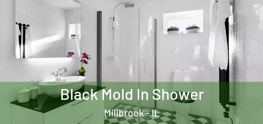 Black Mold In Shower Millbrook - IL