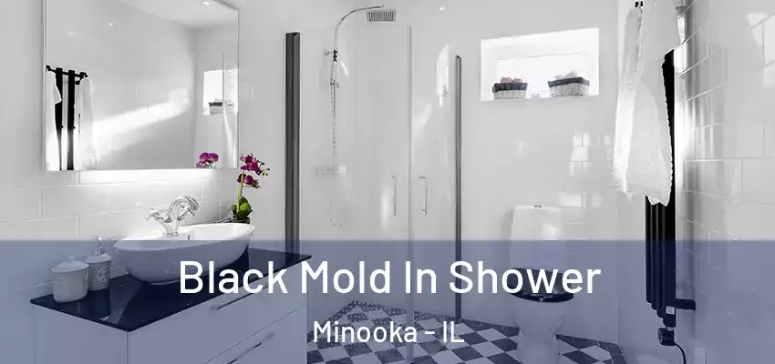 Black Mold In Shower Minooka - IL