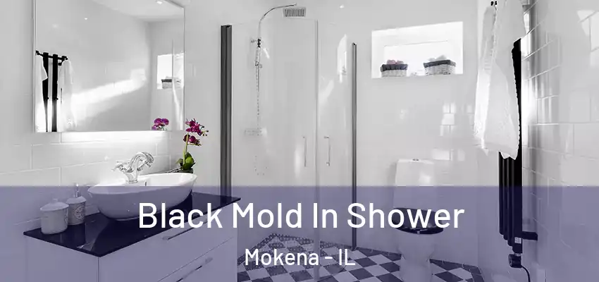 Black Mold In Shower Mokena - IL