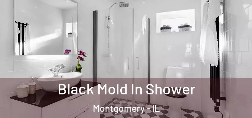 Black Mold In Shower Montgomery - IL