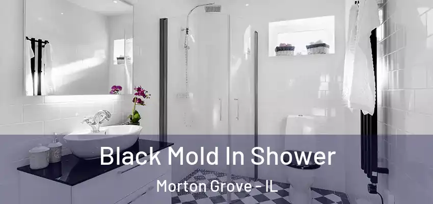  Black Mold In Shower Morton Grove - IL