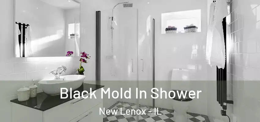 Black Mold In Shower New Lenox - IL