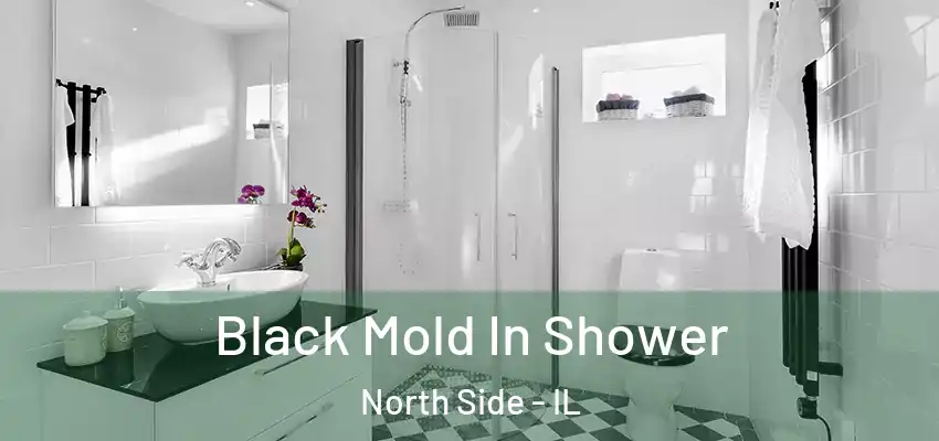 Black Mold In Shower North Side - IL