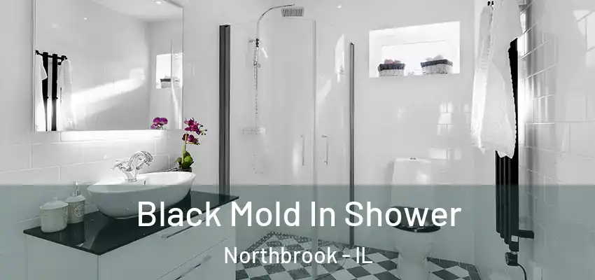 Black Mold In Shower Northbrook - IL