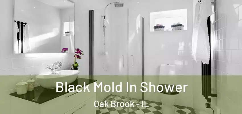  Black Mold In Shower Oak Brook - IL