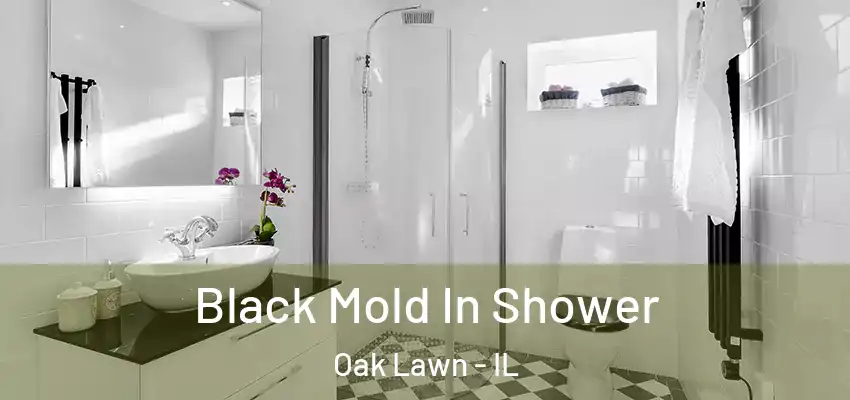  Black Mold In Shower Oak Lawn - IL