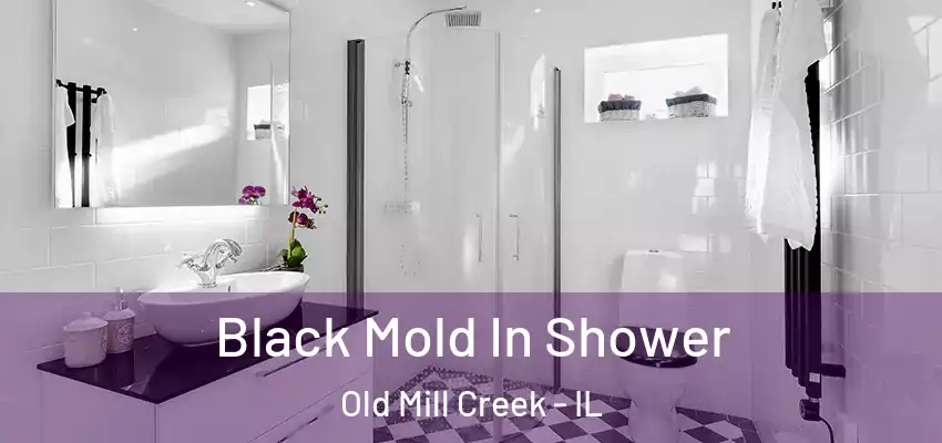 Black Mold In Shower Old Mill Creek - IL