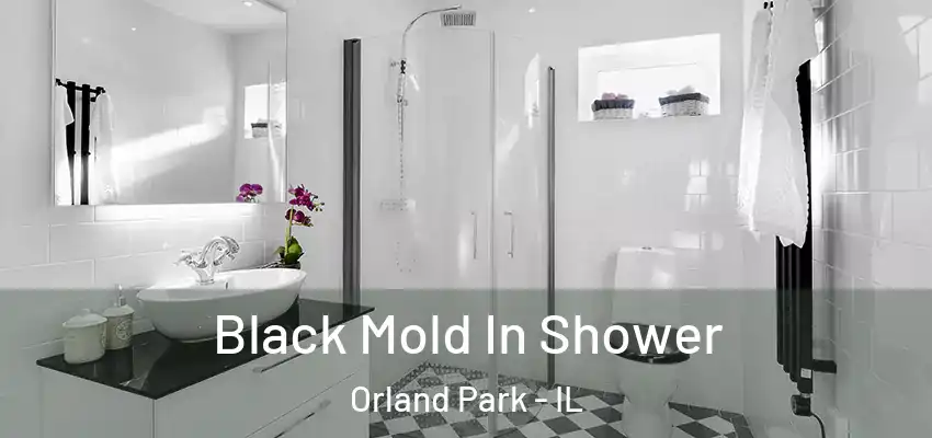Black Mold In Shower Orland Park - IL
