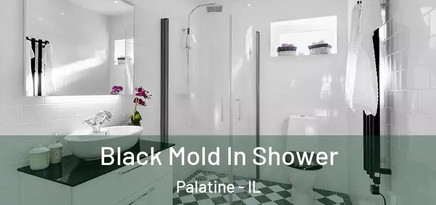 Black Mold In Shower Palatine - IL