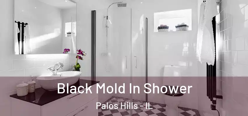 Black Mold In Shower Palos Hills - IL
