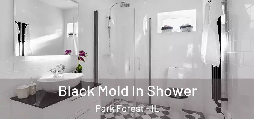 Black Mold In Shower Park Forest - IL