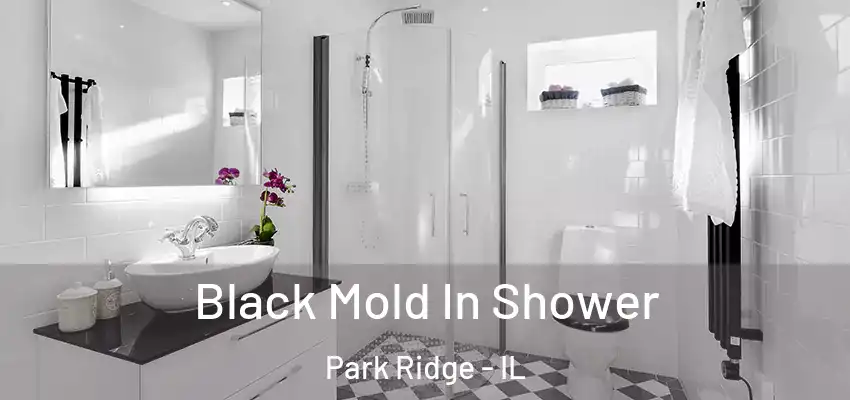 Black Mold In Shower Park Ridge - IL