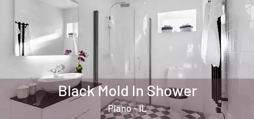 Black Mold In Shower Plano - IL