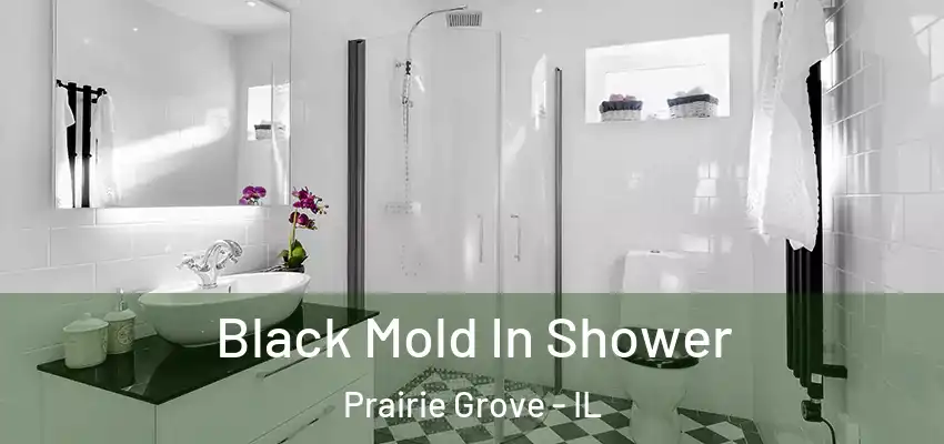  Black Mold In Shower Prairie Grove - IL