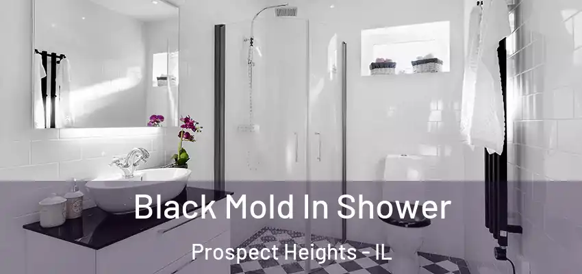Black Mold In Shower Prospect Heights - IL