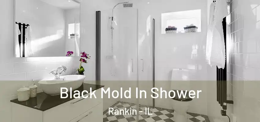 Black Mold In Shower Rankin - IL
