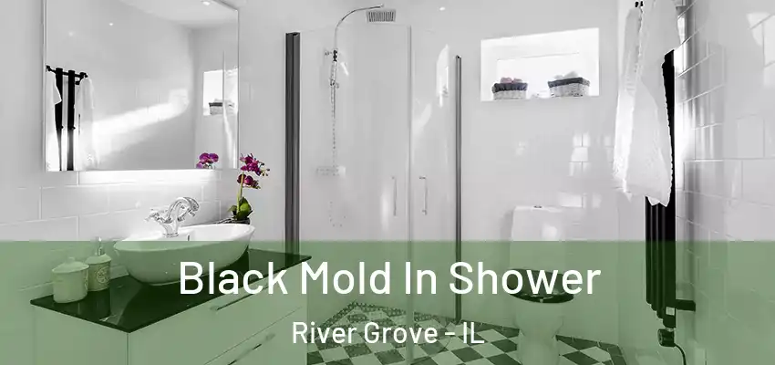 Black Mold In Shower River Grove - IL