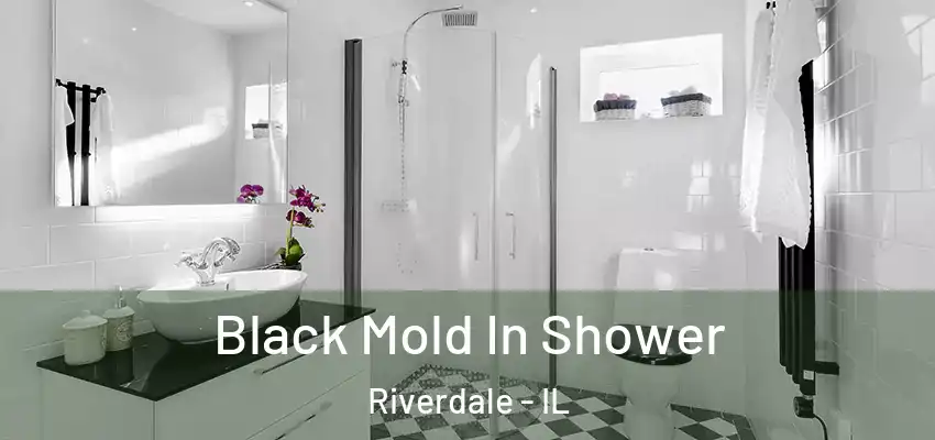 Black Mold In Shower Riverdale - IL