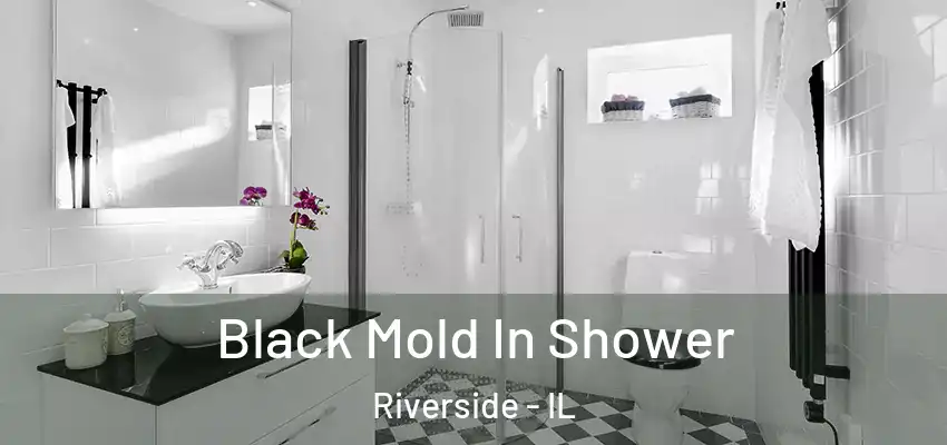 Black Mold In Shower Riverside - IL