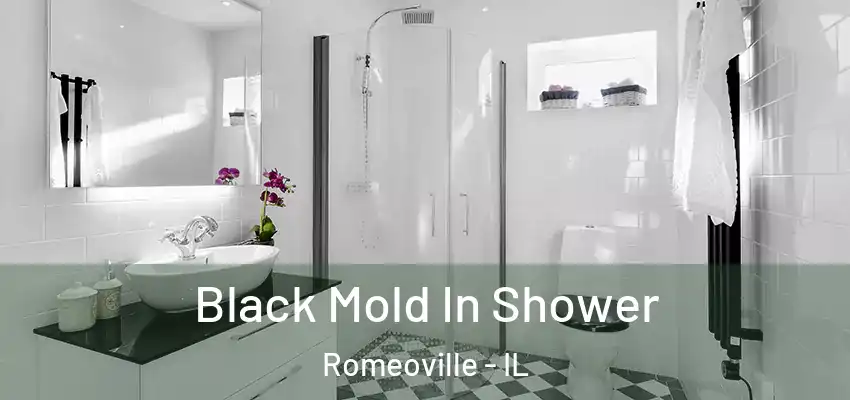  Black Mold In Shower Romeoville - IL