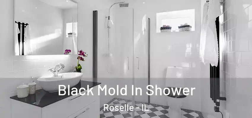  Black Mold In Shower Roselle - IL