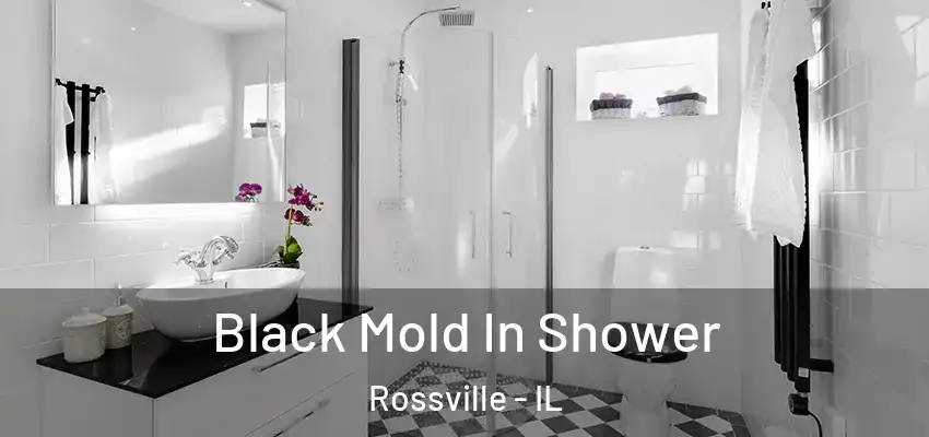Black Mold In Shower Rossville - IL