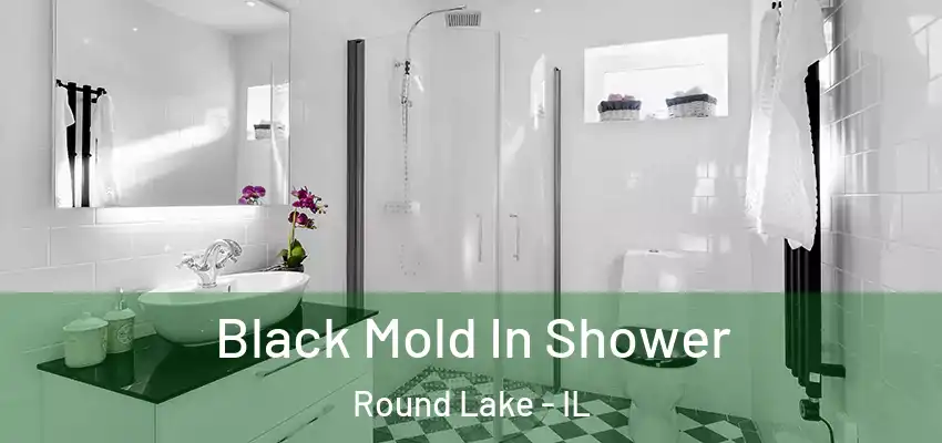 Black Mold In Shower Round Lake - IL