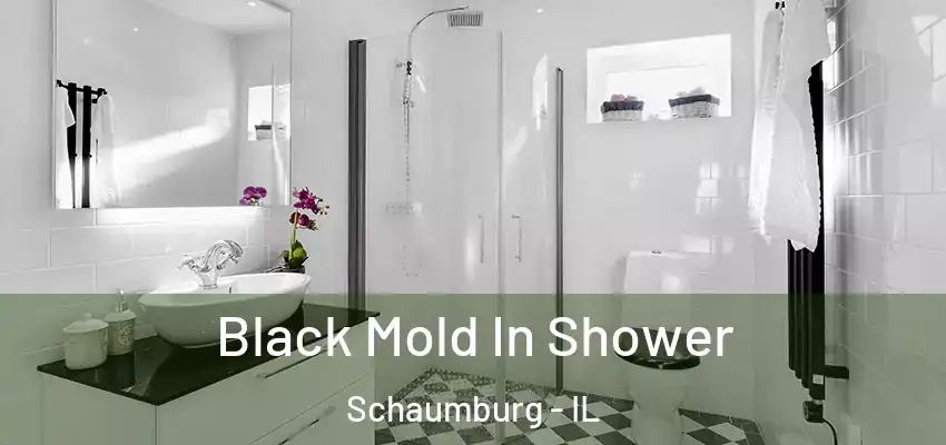 Black Mold In Shower Schaumburg - IL
