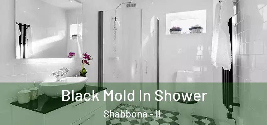 Black Mold In Shower Shabbona - IL