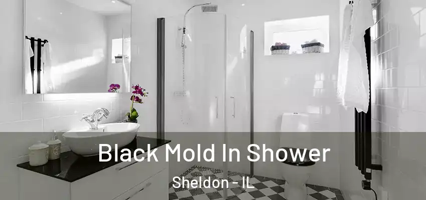  Black Mold In Shower Sheldon - IL