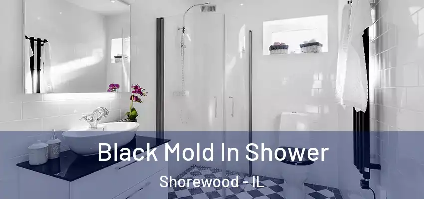 Black Mold In Shower Shorewood - IL
