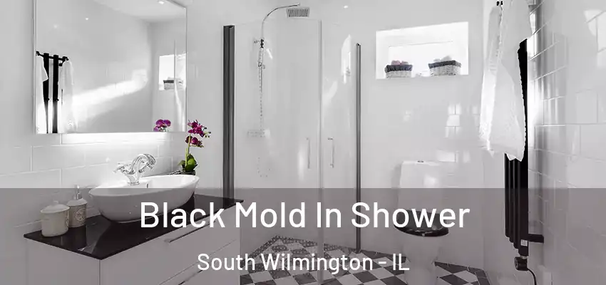 Black Mold In Shower South Wilmington - IL