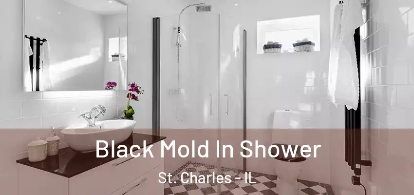Black Mold In Shower St. Charles - IL