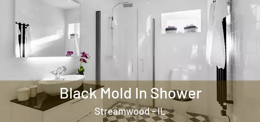Black Mold In Shower Streamwood - IL